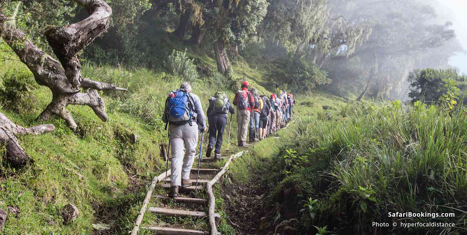 Tanzania Safari Tours