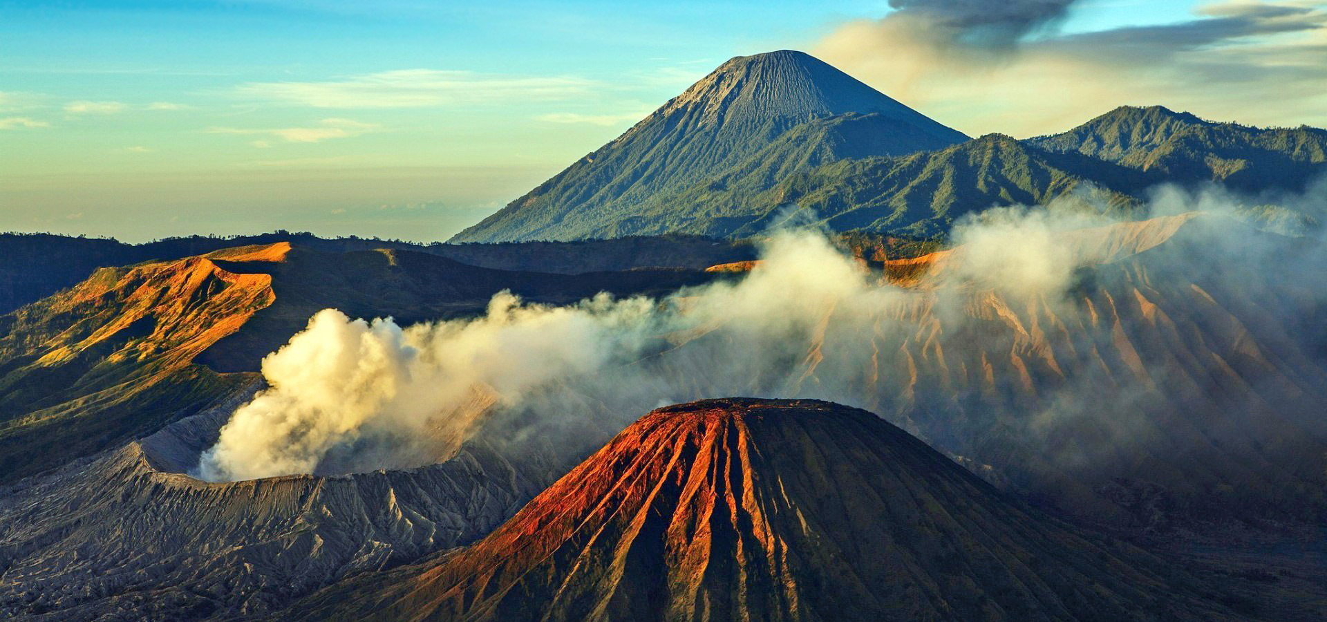 Tanzania Safari Tours