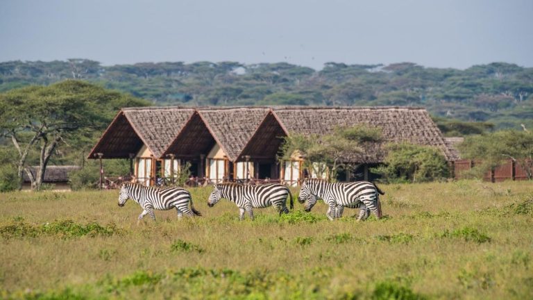 lake ndutu lodge 7
