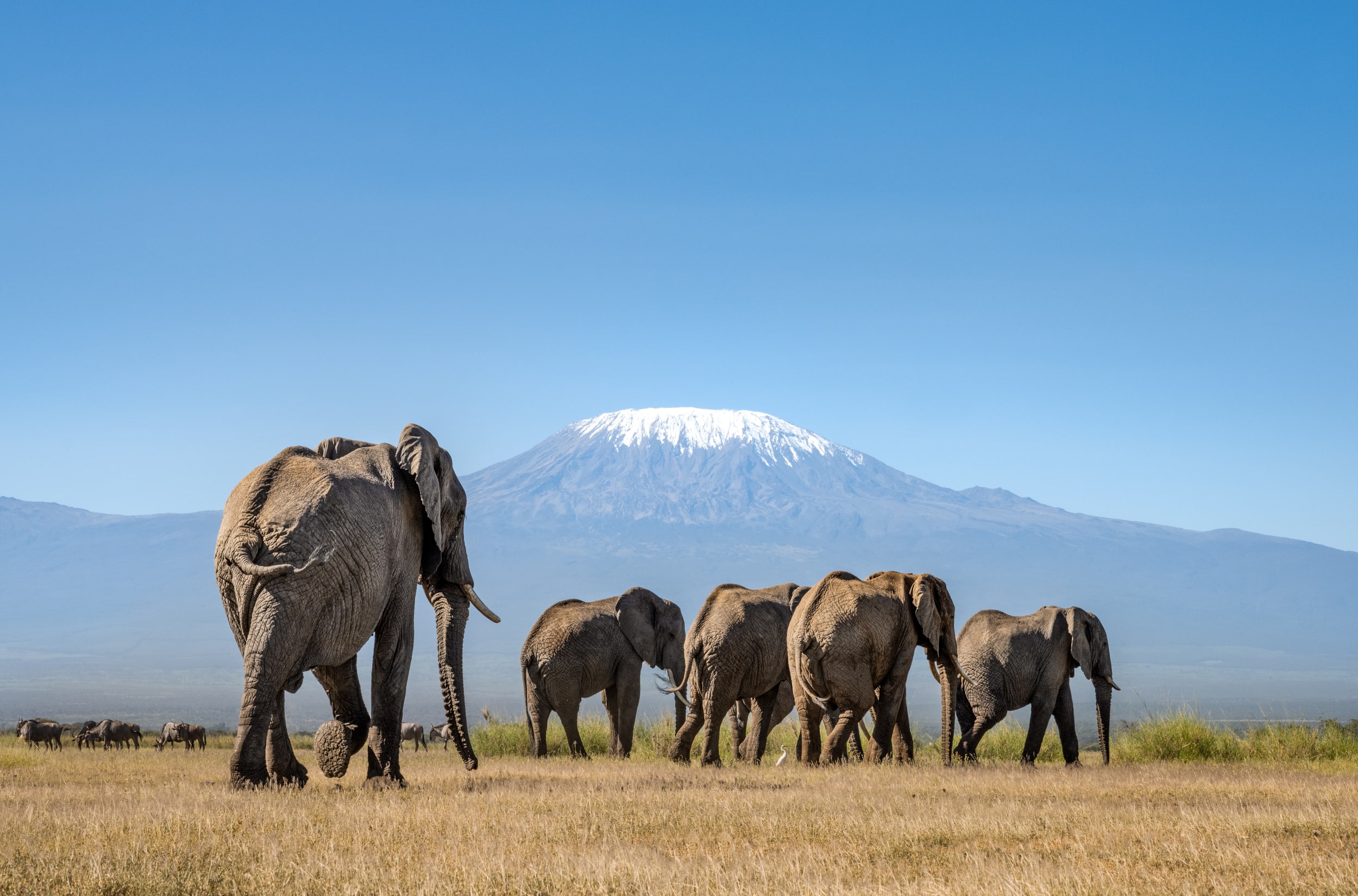 AMBOSELI NP