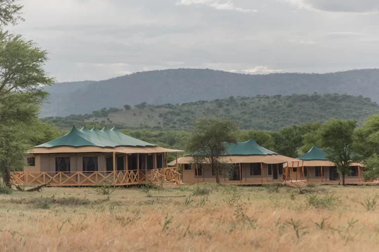 SIGNATURE-SERENGETI