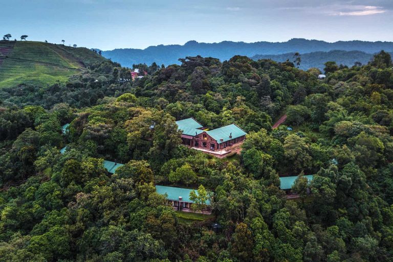 Clouds Mountain Gorilla Lodge - Bwindi