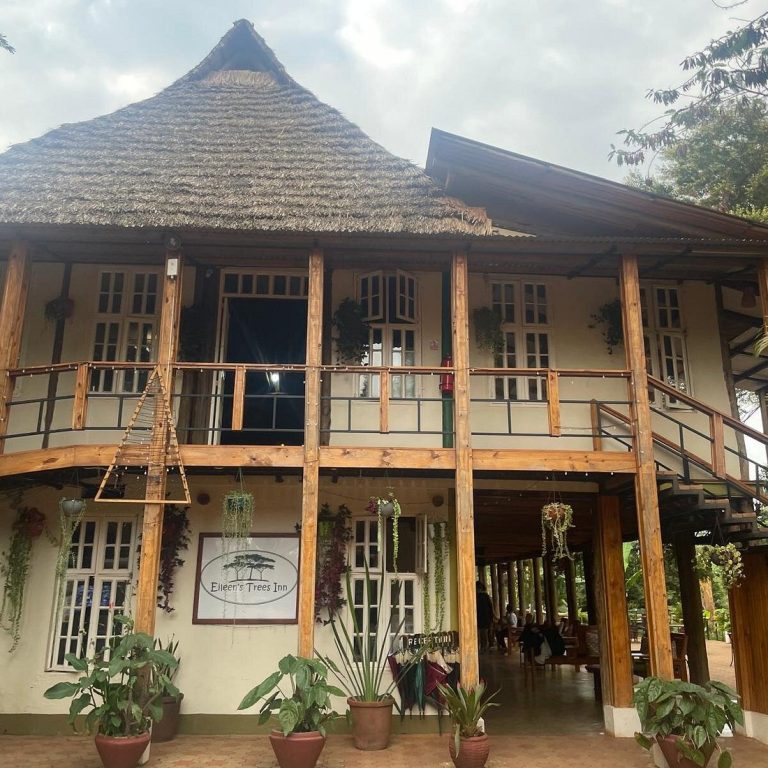 Eileen Tree Inn accommoation