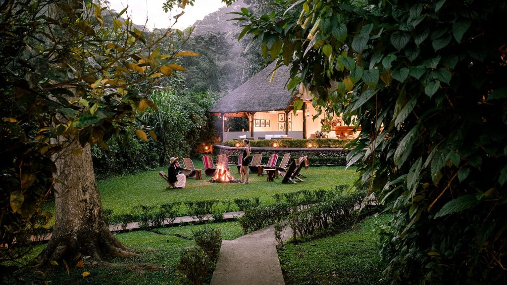 Gorilla Forest Lodge Bwindi inside forest