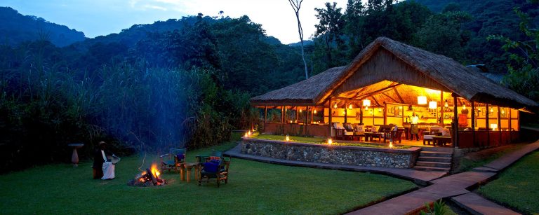Gorilla Forest camp