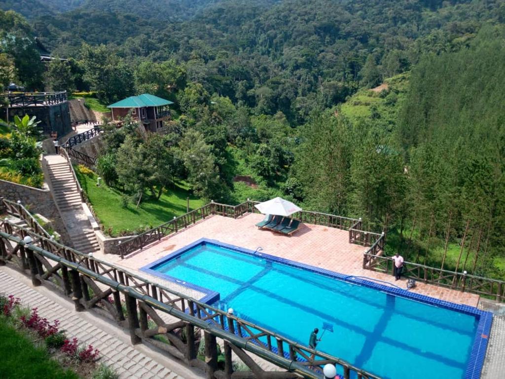 ushaga Gorilla Camp Lodge Bwindi forest view