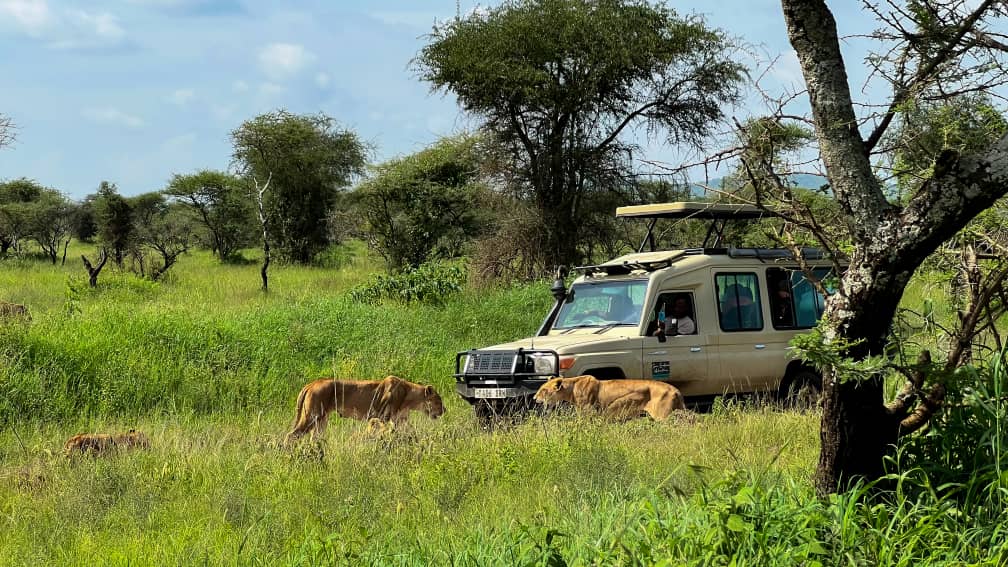 7 day Tanzania safari and Zanzibar holiday Serengeti and beach