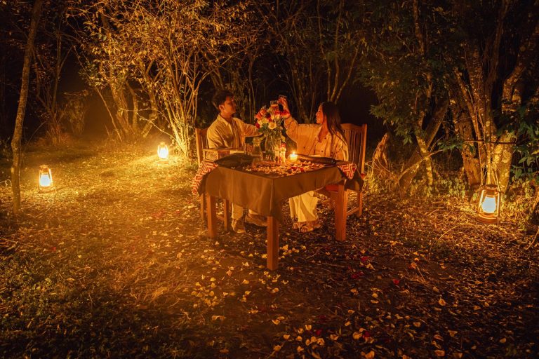 bush dinner soroi