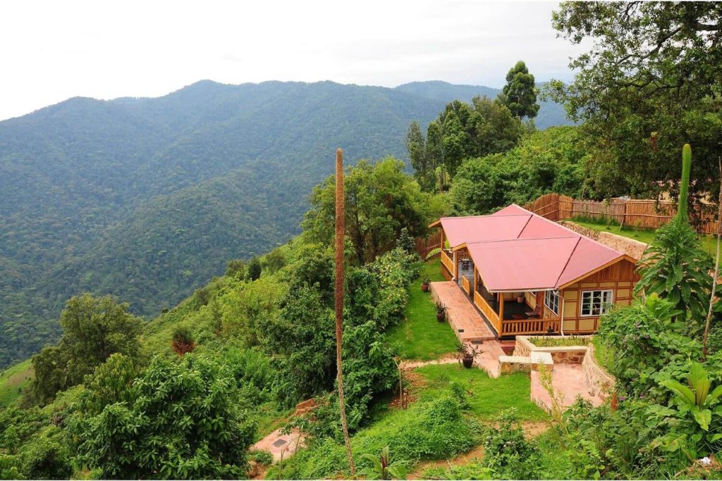 Gorilla Mist Camp Bwindi forest lodge setting