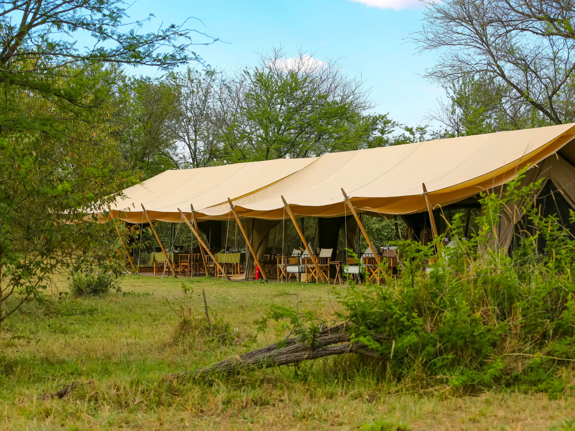 Intimate Camp Zebra Serengeti tented safari camp