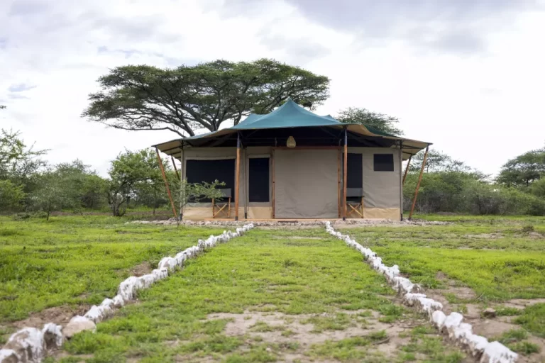migration camp haven