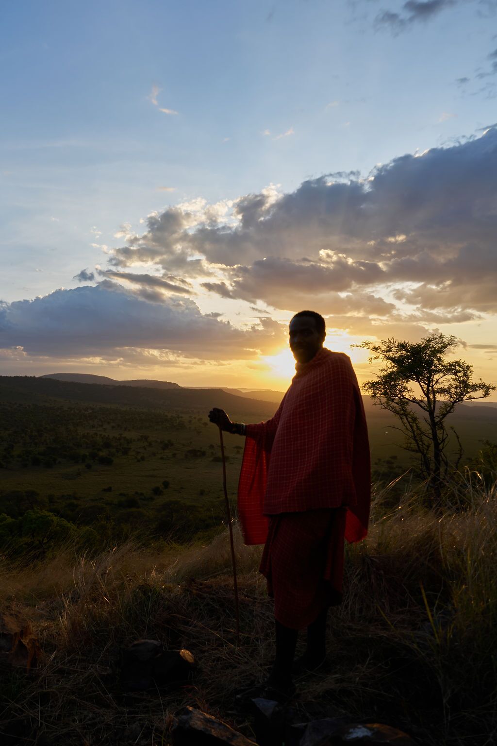 nature walks neptune serengeti