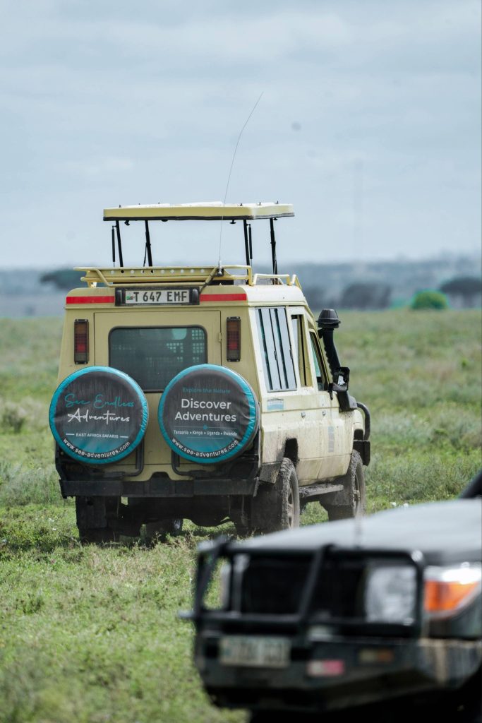 Safari jeep in Serengeti with elephants and open plains Tanzania