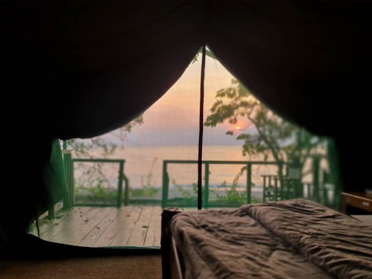 Kasekela Campsite