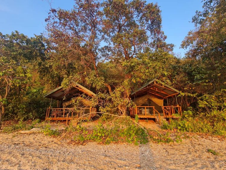 Kasekela Tented Camp