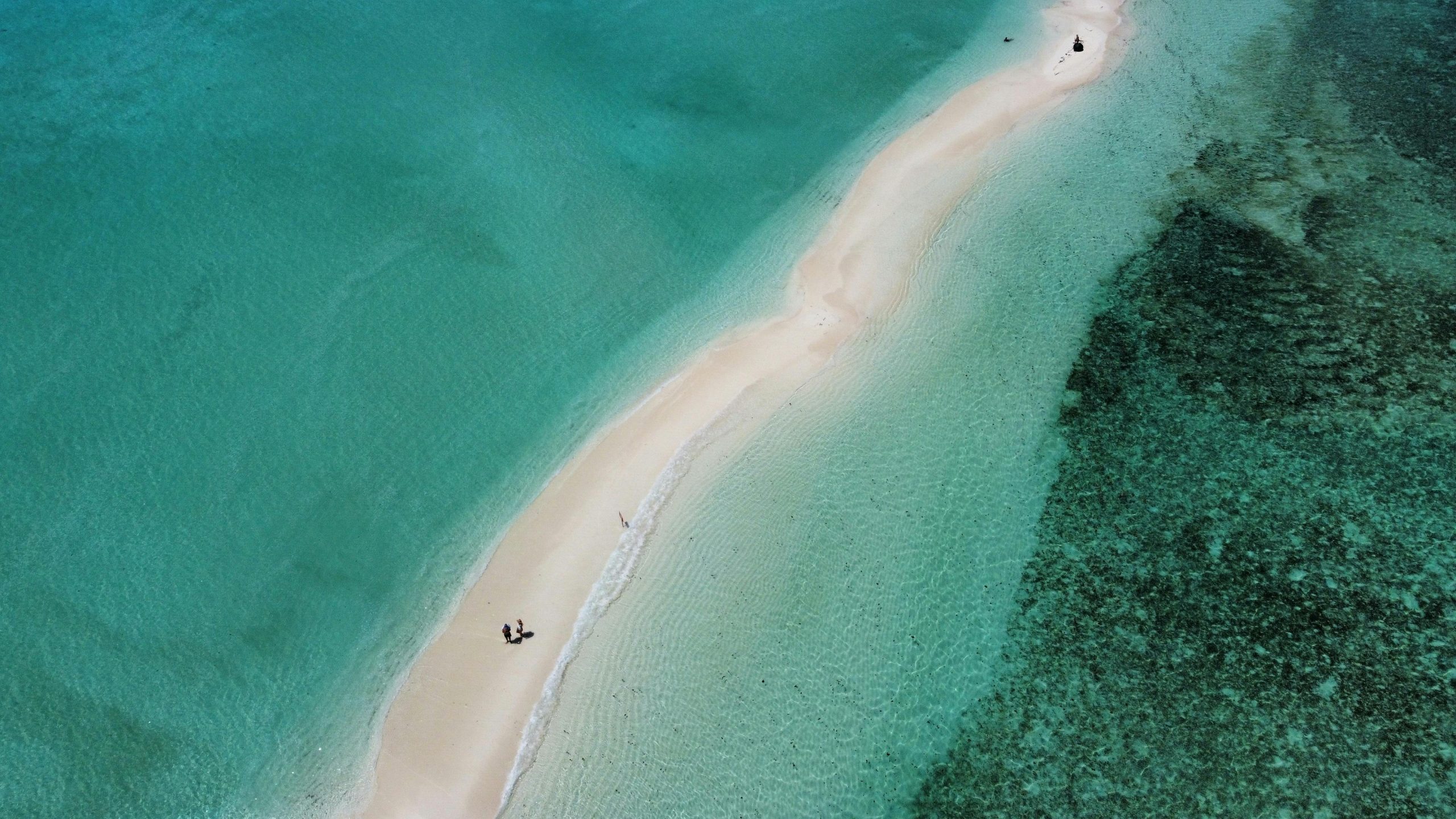 Nakupenda Sandbank Zanzibar with turquoise water and white sand on a private tour