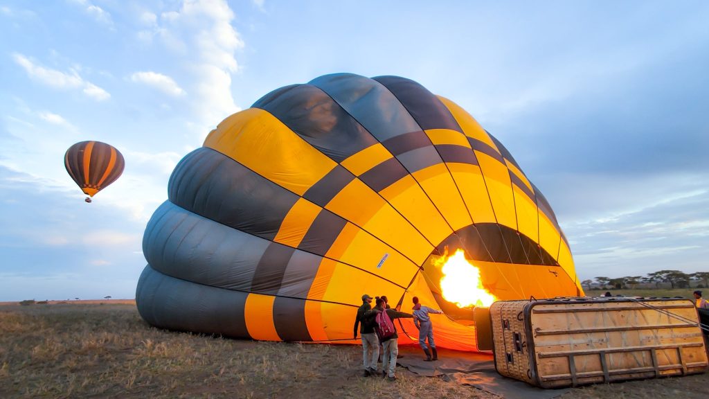 A large grey and yellow striped hot air balloon lying on its side in a field being filled with a bright orange fire flame while workers stand nearby.