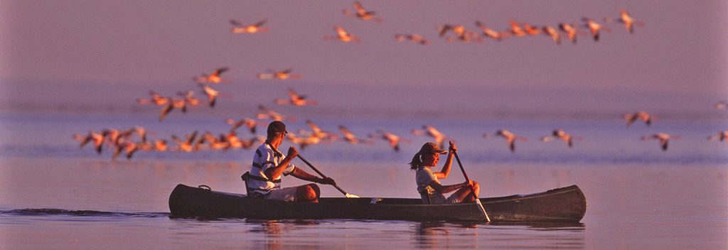 Silhouettes of a man and a woman paddling a canoe on calm water during a pink sunset, with a large flock of pink flamingos flying in the air behind them.