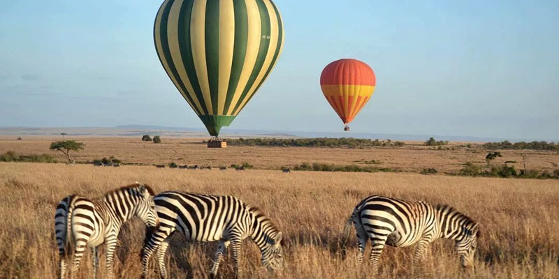 Three zebras graze in the tall, dry grass of an open savanna field in the foreground. In the background, a large green and tan striped hot air balloon and a smaller orange balloon float low over the horizon under a clear blue sky.