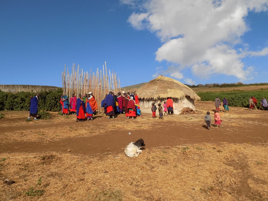 A group of Maasai people dressed in vibrant red and blue shΓΊkΓ cloaks standing outside a traditional thatched-roof mud hut next to a tall wooden stick fence in the Ngorongoro Conservation Area, with a small goat resting in the dusty foreground under a partly cloudy blue sky.