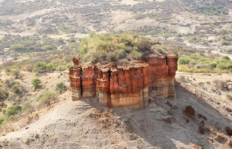 High-angle view of a prominent, layered reddish-brown rock monolith capped with green shrubbery, standing within the vast, arid valley landscape of Olduvai Gorge inside the greater Ngorongoro Conservation Area.