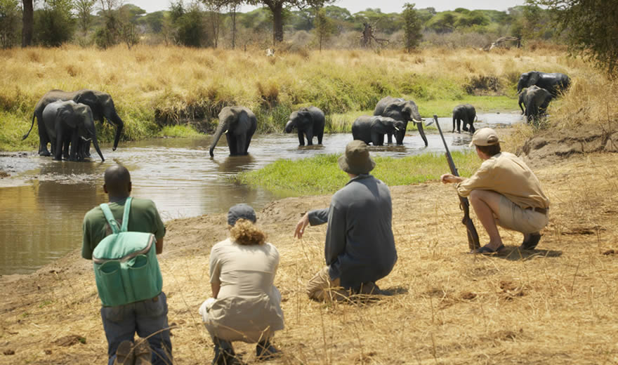 Four safari participants, including a kneeling armed ranger holding a rifle, sit on a dry, grassy riverbank to watch a large herd of elephants bathing and wading in a muddy river.