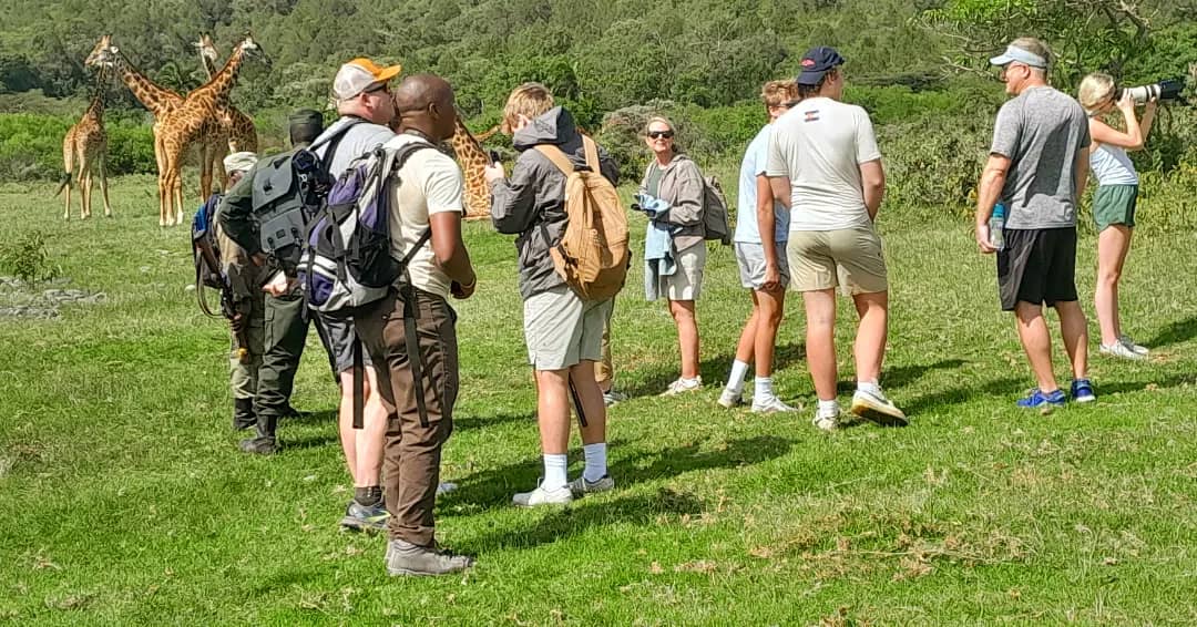 A large group of tourists with backpacks and cameras stand in a green field with armed park rangers, observing a small herd of Masai giraffes near the forest edge.